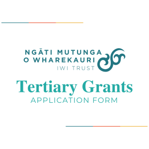 Tertiary-Grants-App-Form